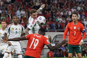 友博体育娱乐 -葡萄牙老帅为什么不带贝托